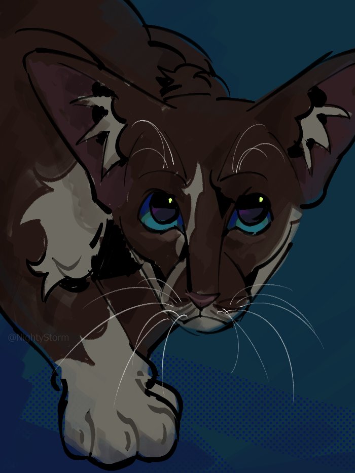 NightyStormArt's tweet photo. tumblr request for #harestar #warriorcats :3 https://t.co/VzfESNKQJA