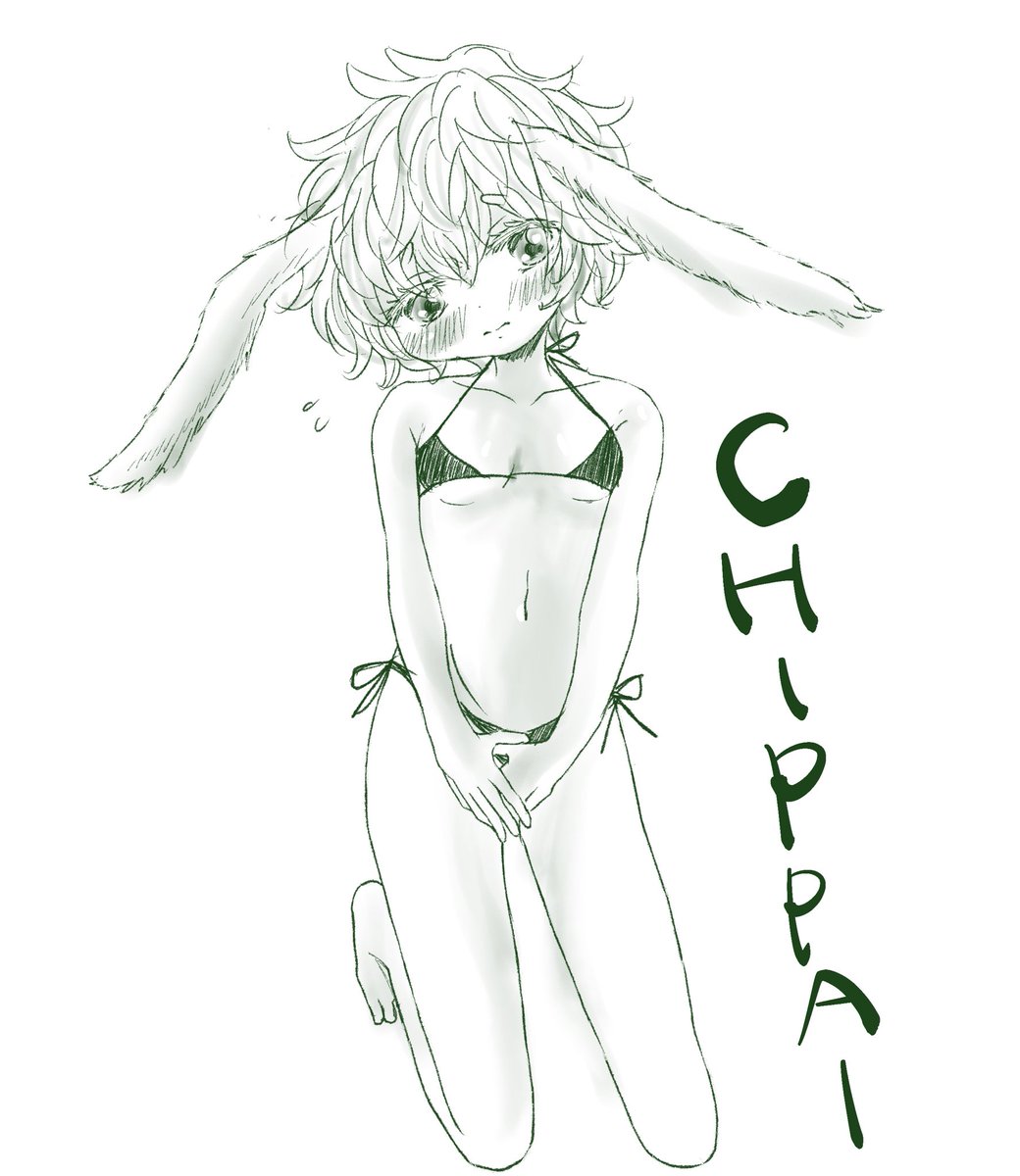 当初はちっぱいにしようと思っていたのです。
ちっぱいスキーなので…