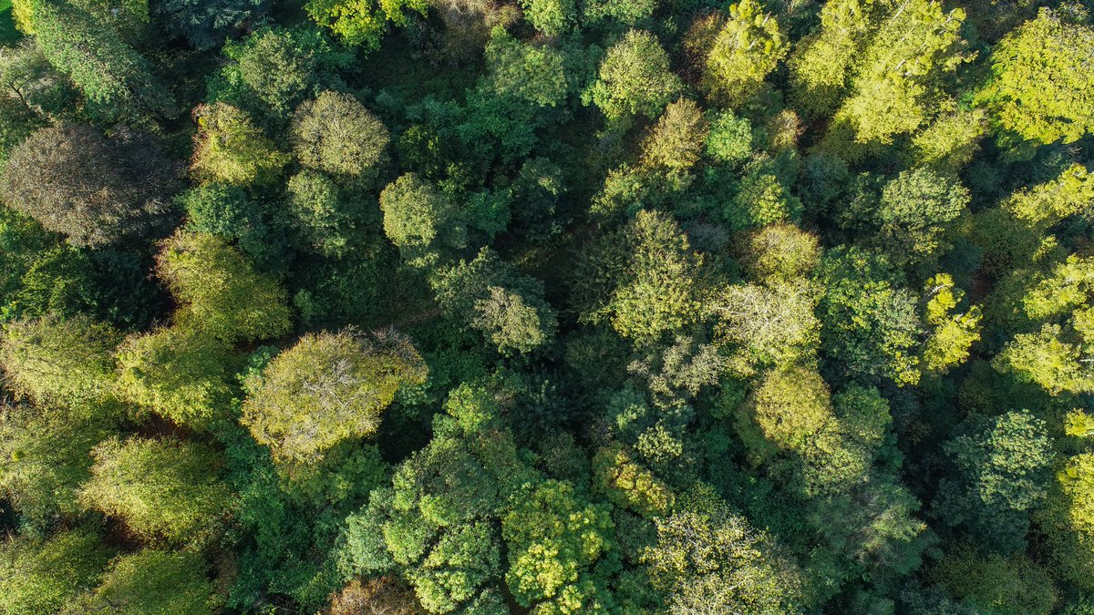 PriestleyCentre's tweet photo. How might the UK get back on track to meet its climate commitments?

A new report from our Climate Evidence Unit sets out targets that the incoming Government can adopt achieve its goals.

Professor @j_r_barrett shares some key insights from the report:
https://t.co/WM4LWqFDeR https://t.co/5XUtEVMhYA