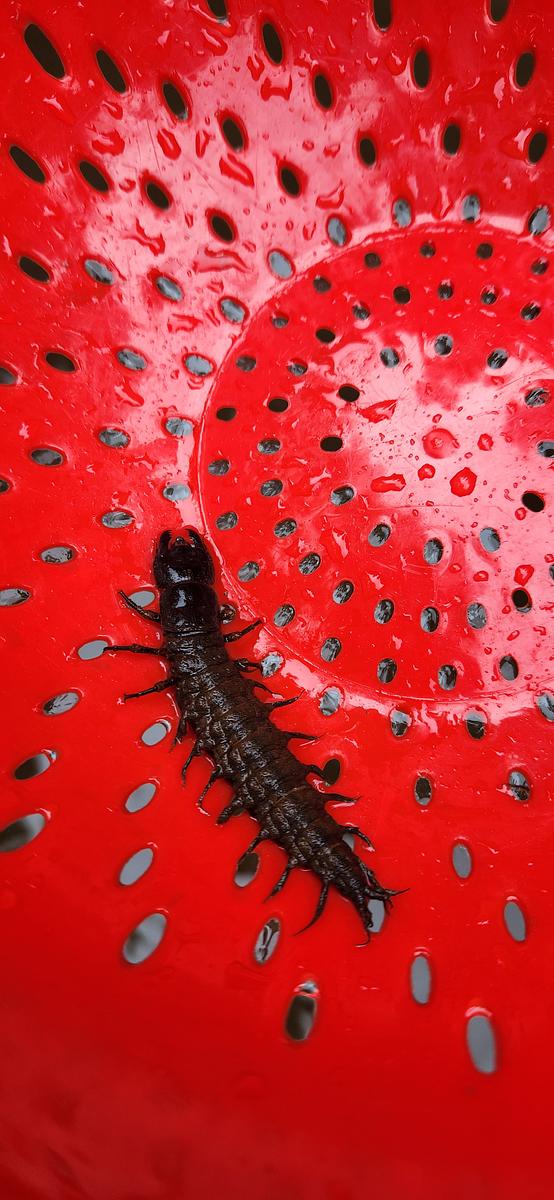 Natural Lands tweet media