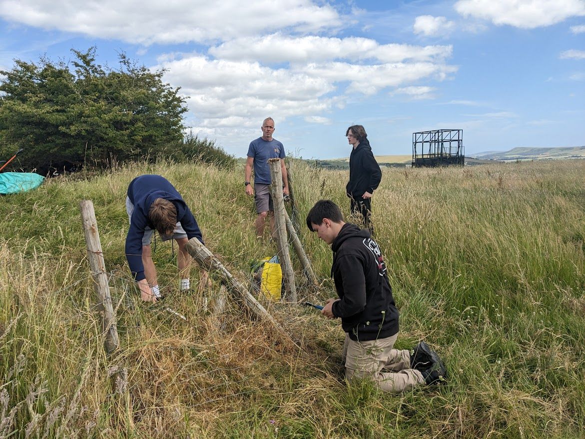 Railway Land Wildlife Trust tweet media