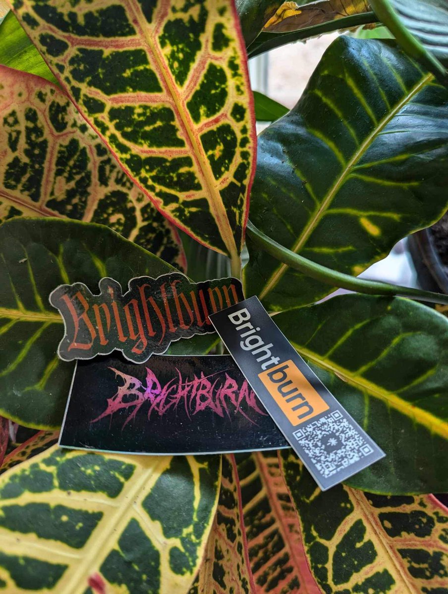 👕 *RE-STOCK* 🩳 

We’re pleased to announce we just restocked our website with fresh new “Deathcore Logo” shirts and updated inventory on our Champion shorts! Every order comes packaged with stickers.

Merch: brightburntx.com/home#store