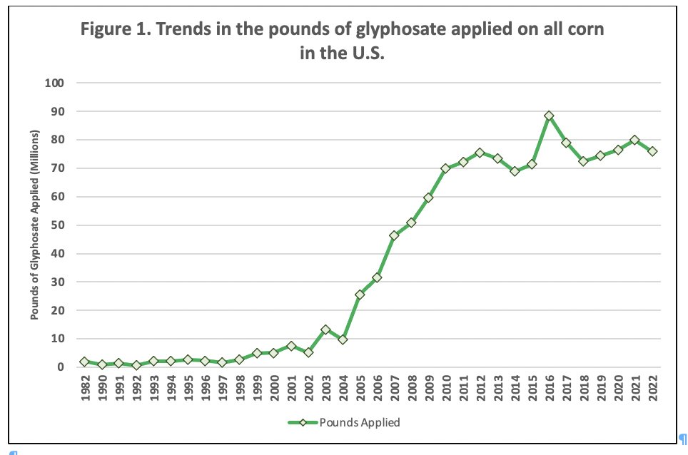 TimothyAWise's tweet image. In hearings on #Mexico #GMO corn restrictions, @USTradeRep45 implied that use of #glyphosate on US corn was not high. @chuckbenbrook &amp;amp; @foe_us show us: 76m lbs on 80% of US corn. foe.org/wp-content/upl… @victor_suarez @Conahcyt_Mex @careygillam @CassLGarrison @GRAIN_org