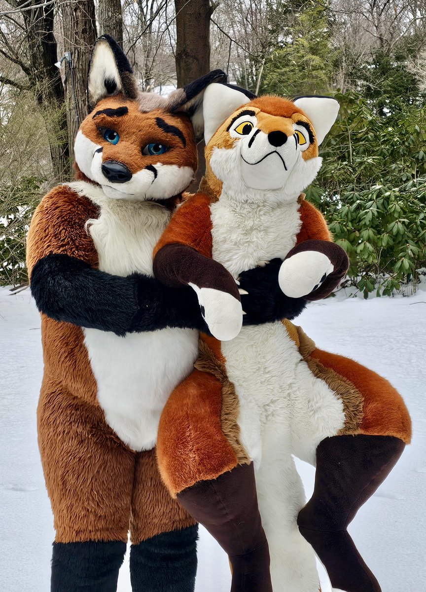 Happy #FursuitFriday 
Be sure to give your foxes lots of hugs!

<a href="/PlushLife_eu/">PlushLife</a> RedFox Plush
<a href="/Onefurallstudio/">Onefurall Studios</a> RedFox Fursuit