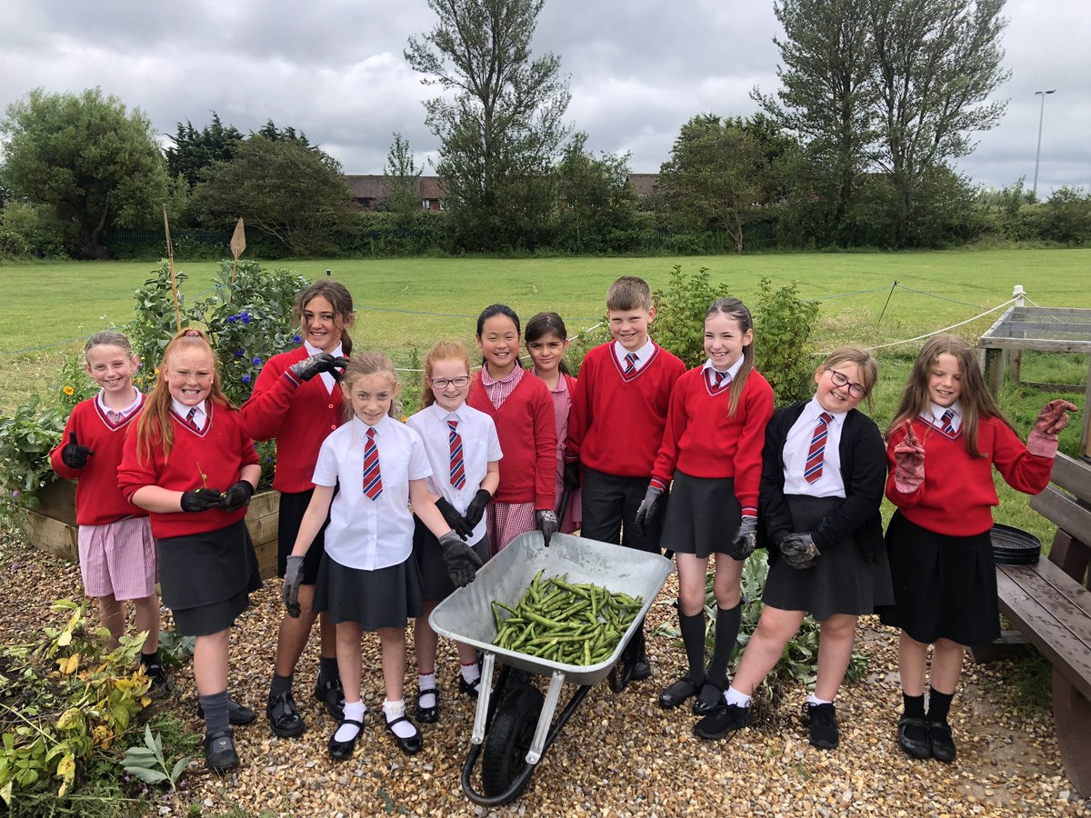 Ysgol Bryn Hedydd (@ysgolbrynhedydd) on Twitter photo Year 4 have been so excited to be asked to take part in a gardening podcast with Terry Walton. Thank you @kwt_denbighshir and producer Lynda from <a href="/BBCRadioWales/">BBC Radio Wales</a> for making this happen!
Here is the link to the episode
bbc.co.uk/sounds/play/p0… Year 4 have been so excited to be asked to take part in a gardening podcast with Terry Walton. Thank you @kwt_denbighshir and producer Lynda from <a href="/BBCRadioWales/">BBC Radio Wales</a> for making this happen!
Here is the link to the episode
bbc.co.uk/sounds/play/p0…