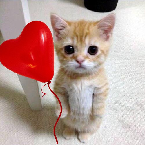 <a href="/daumeneth/">Daumen</a> stop fading $Qitty
the cutest cat on solana 😼

BjVzAip8bAkiYjiEa8QUf9wAk16M6uuHMoUVNe3V3NDJ