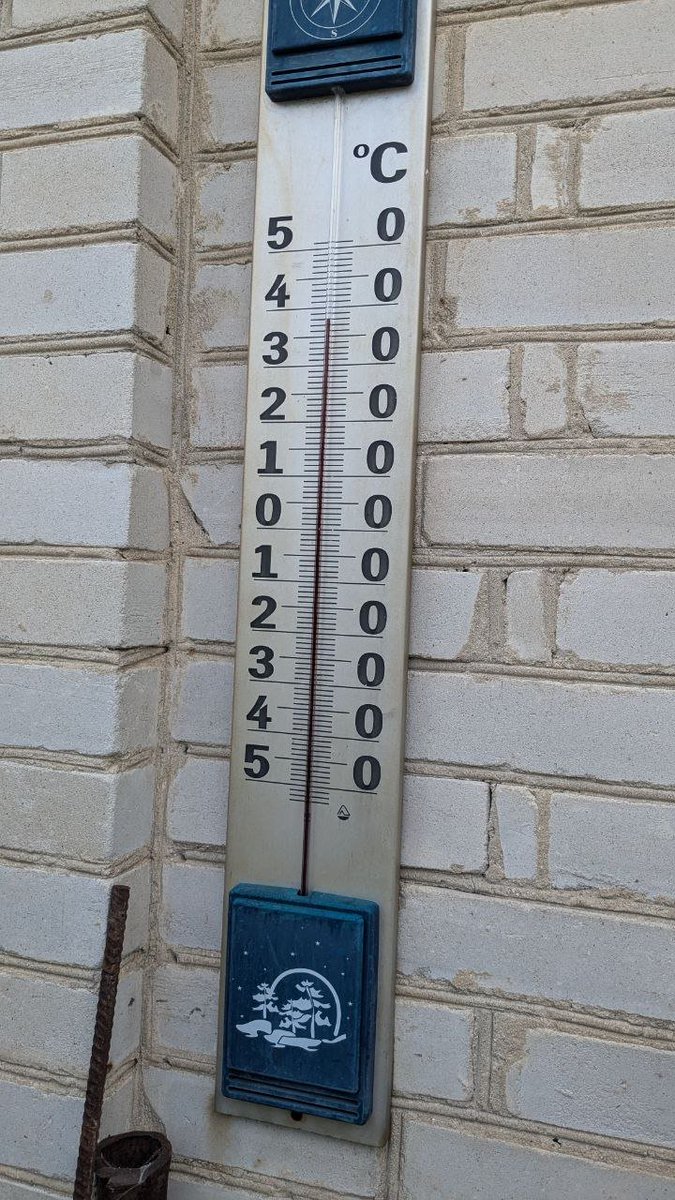 На дачі в тіні заєбісь )