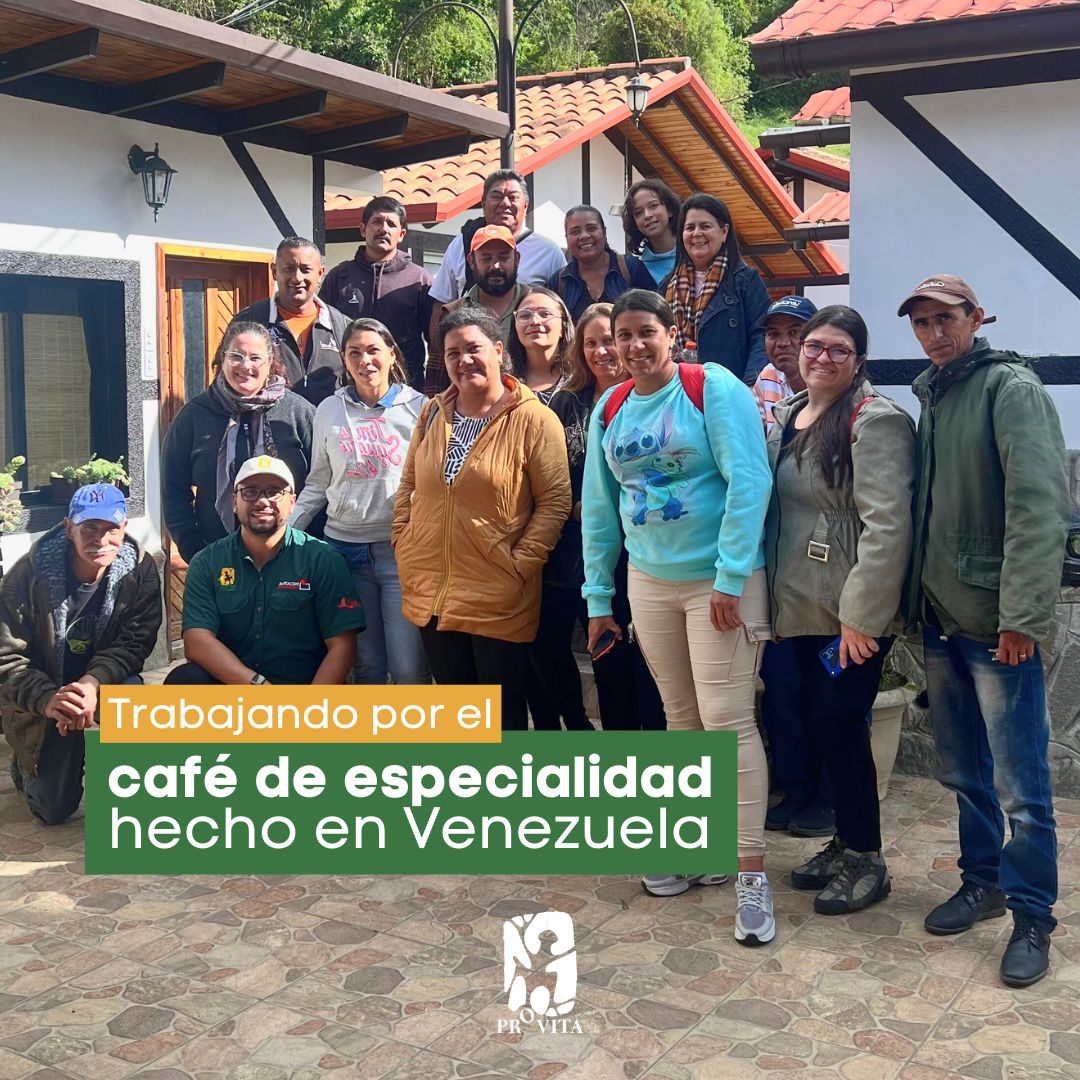 En Venezuela, tenemos cafés con aromas y sabores maravillosos. Sin embargo, la historia del café de especialidad en el país apenas comienza a escribirse… ☕🌿✏️ 

Sigue leyendo, que te contamos nuestro más reciente avance ⬇️