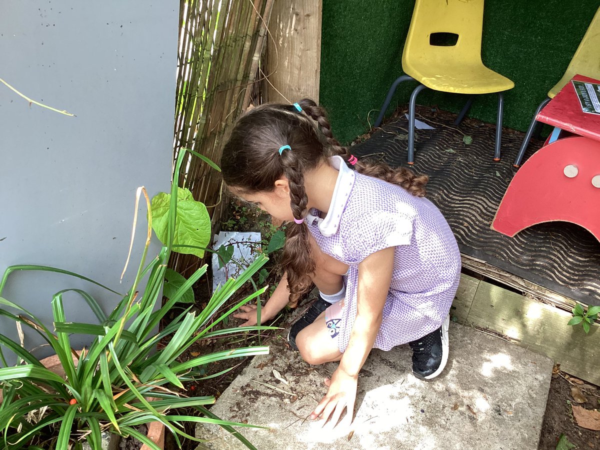 ourladyqop's tweet photo. Who knew that the Reception garden was so full of minibeast micro habitats! #olqpreception #olqpscience #olqpcststewardship https://t.co/Ir0GR4Usvp