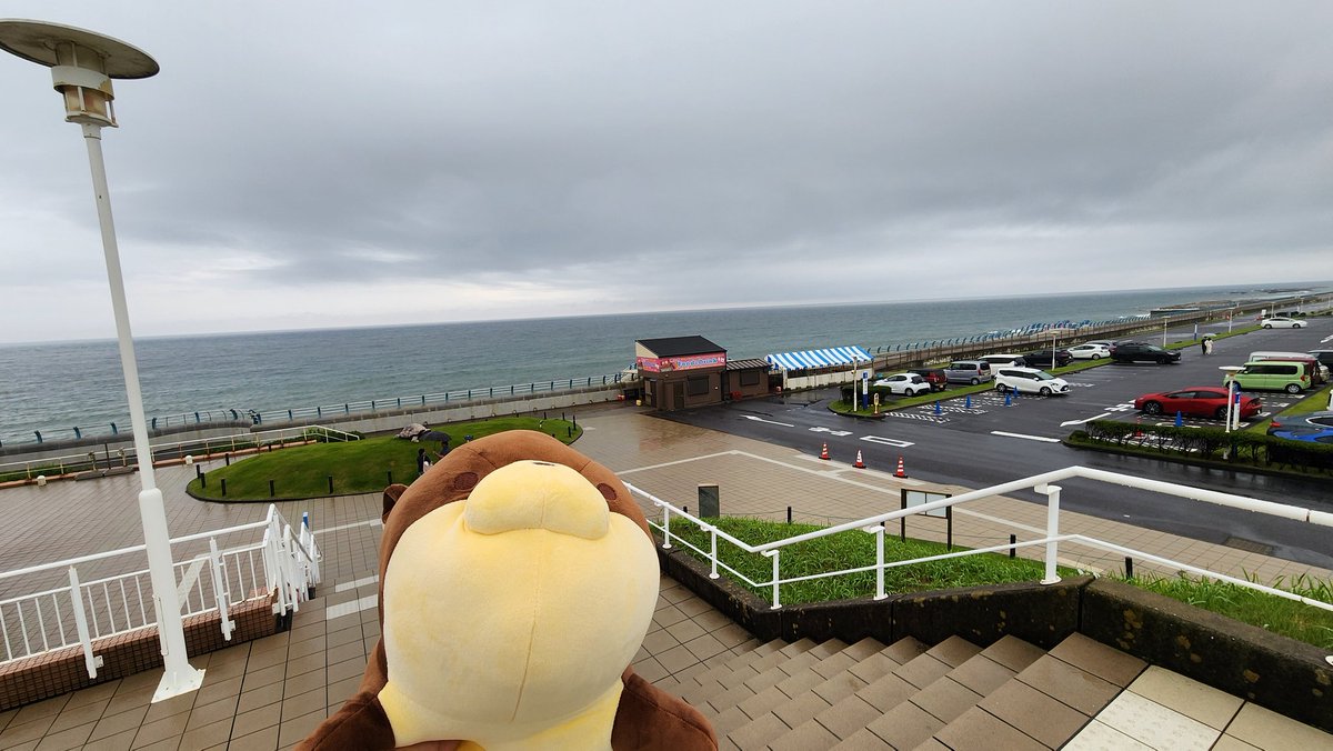 himeroco_HYP's tweet photo. 大洗水族館 https://t.co/L7PLqB3I2g