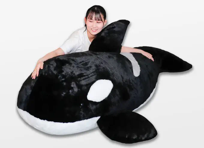【今週の記事】シャチ好きさんは要チェック! 鴨川シーワールドで待望の「超特大シャチぬいぐるみ」爆誕→本当に巨大すぎるしお値段も巨大 