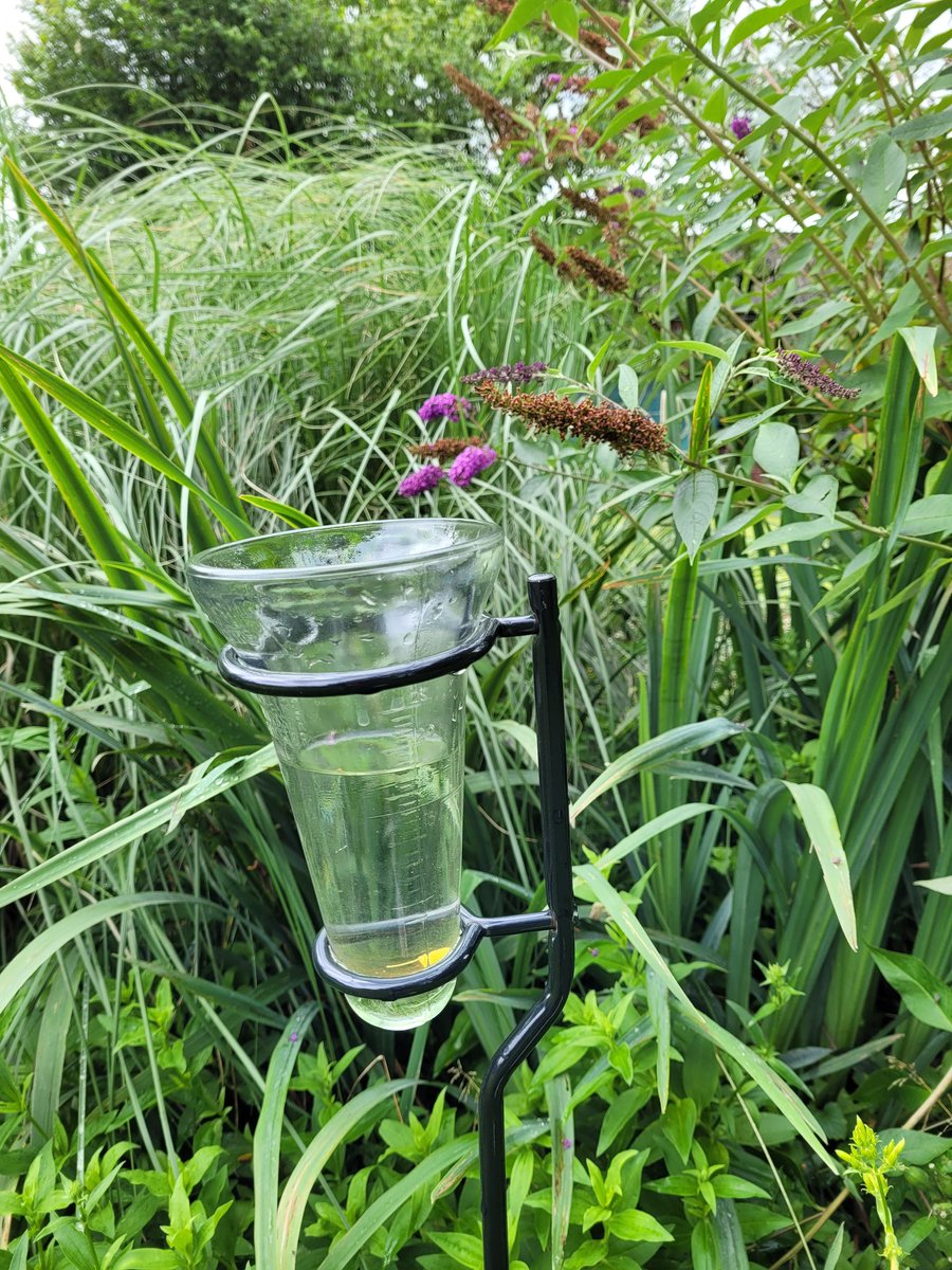 marcvanpae7d's tweet photo. #vrtweer Oedelem 14:51 17 liter al https://t.co/VvZNkIeEl2