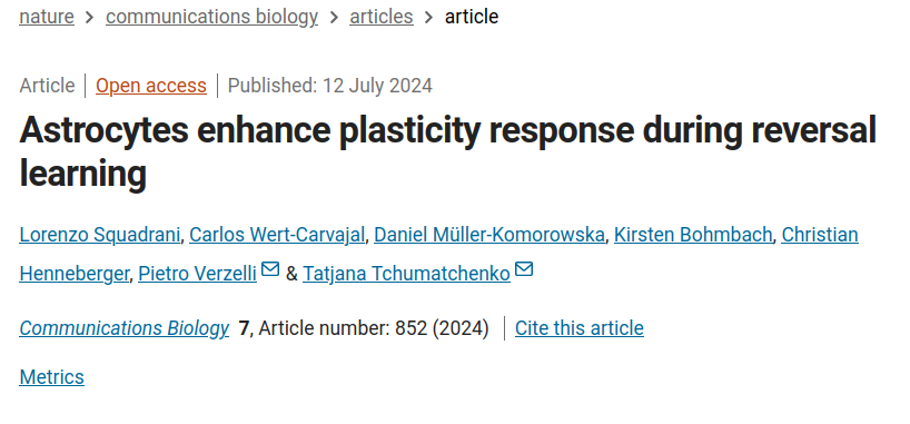 FascinoMaligno's tweet photo. I'm really happy to share that our paper about the astrocytic contribution to reversal learning is finally out! In this thread, I will quickly go through the main results. #Neuroscience #Research 1/10 https://t.co/SCBCZa78Hl