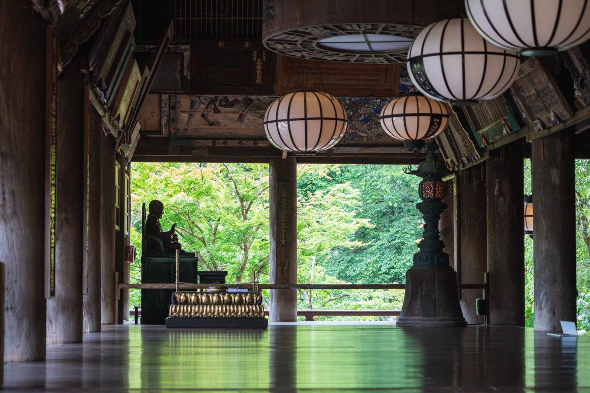 Every22theShop's tweet photo. 【フォト】
#長谷寺 #本堂
#日本 #奈良 #桜井
#旅行 #散歩 #参拝
#寺 #寺院 #建物 #建築
#自然 #新緑

撮影した日：2024年6月22日

#ongooglemaps #letsguide #googlelocalguides https://t.co/kgYMnrSQZx