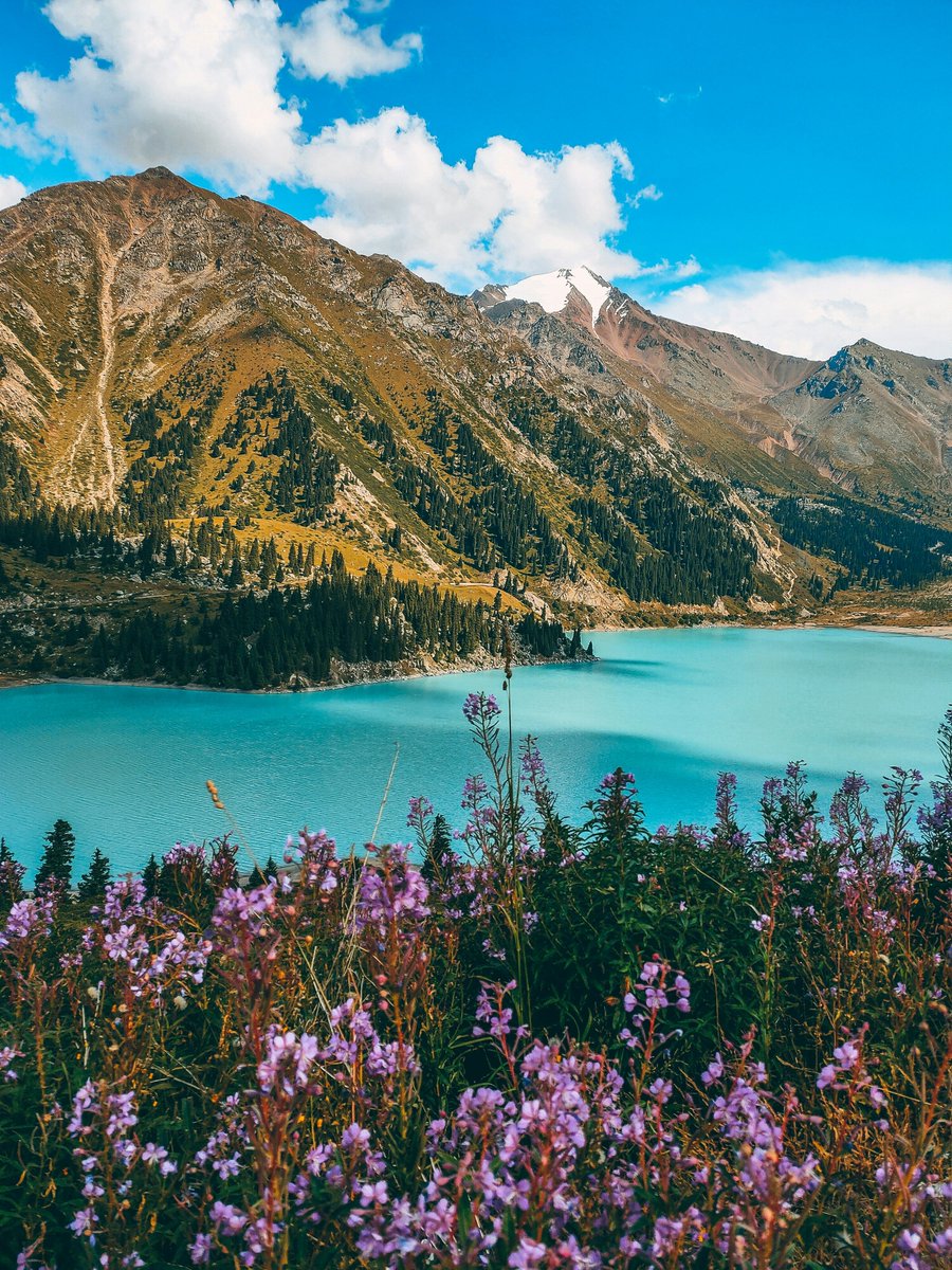 TravelSeeWrite's tweet photo. Kazakhstan stole my heart with its untamed beauty and rich history! From vast steppes to majestic mountains, this Central Asian gem offers experiences you won't find anywhere else. Join me as I share my adventures in this thread! 1/n #TravelKazakhstan #HiddenGem #TravelSeeWrite https://t.co/D9pkquLw4I