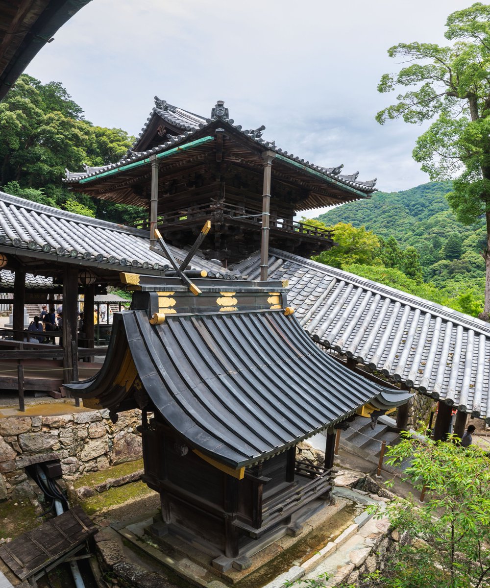 Every22theShop's tweet photo. 【Photos】
#Hasedera #mainHall
#Japan #Nara #Sakurai
#travel #walk #worship
#temple #architecture
#nature #freshgreen

Date of shooting: June 22nd 2024

#ongooglemaps #letsguide #googlelocalguides https://t.co/VvlXWJh7nR
