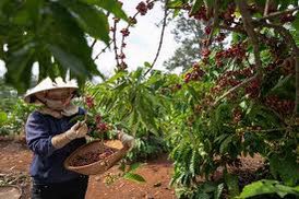UNDPVietNam tweet picture
