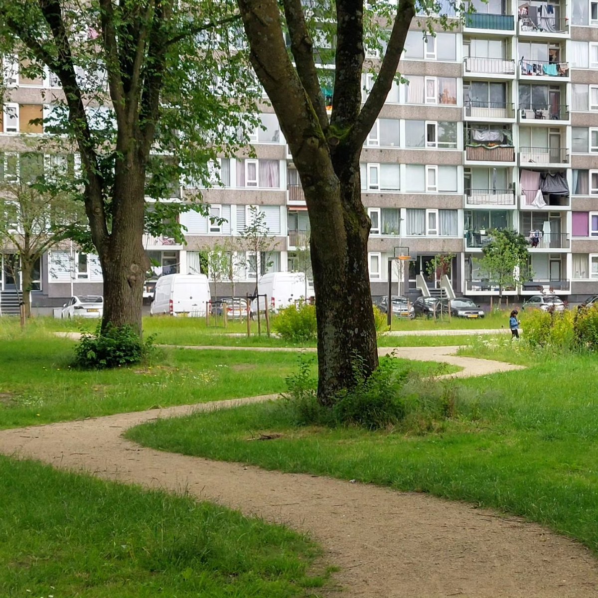 Echt Overvecht tweet media