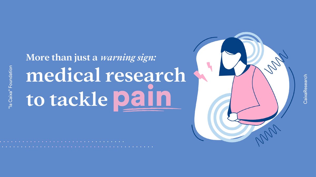 Treatments for pain often focus on alleviating the symptom without necessarily dealing with the underlying cause of the problem.

What new advances and treatments are emerging in this field?

We explore this issue with 6 members of #CaixaResearch: 👉 i.mtr.cool/lpfrmddwir