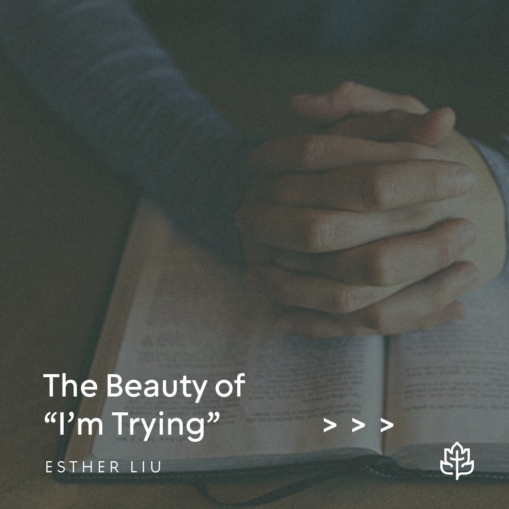 ccef's tweet photo. New blog by Esther Liu: "The Beauty of 'I'm Trying.'" Read it here: https://t.co/ny1wen1woQ 

#ccef #biblicalcounseling #christiancounseling #counseling #sanctification https://t.co/3EzkGoXn7M