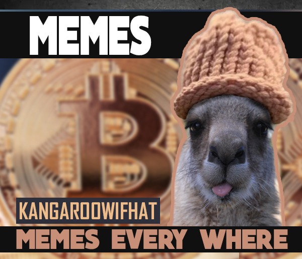 KangarooWifHat tweet media