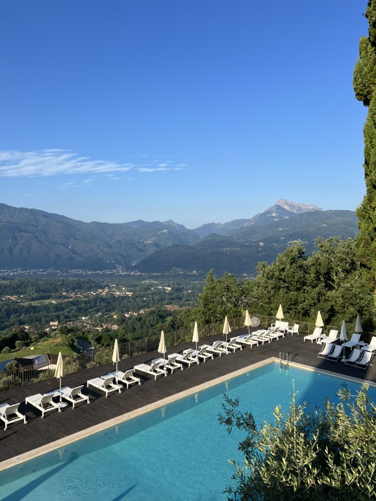 Cindy Tang tweet media