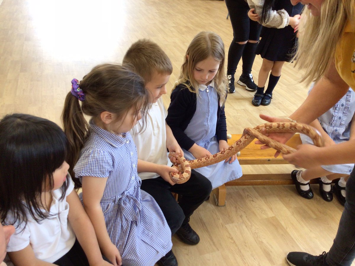 YR Lilac Class-Beighton NI tweet media
