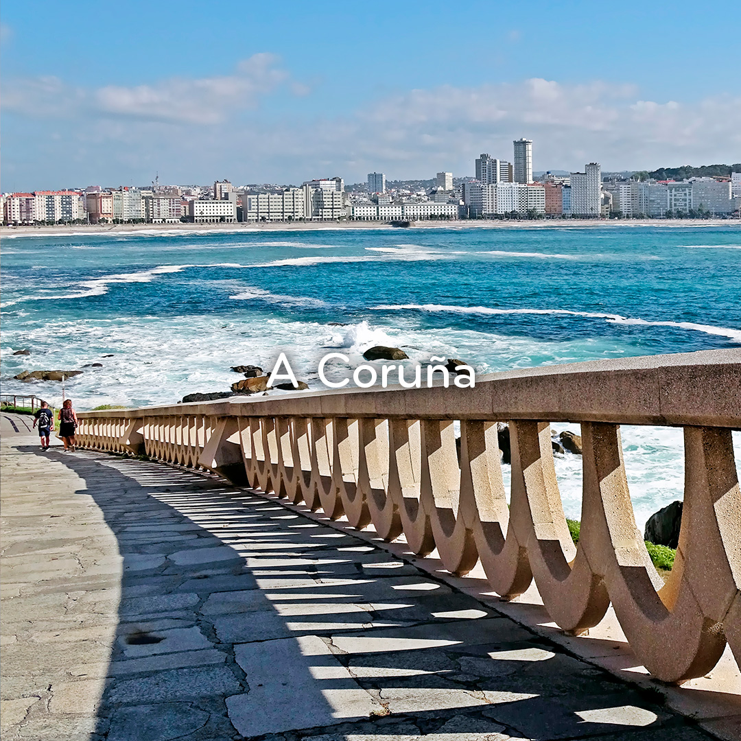 BinterCanarias's tweet photo. #ACoruña es una de las grandes ciudades de
Galicia donde respirar historia y modernidad en cada
rincón. 💚Sumérgete en su cultura y viaja los jueves y
domingos desde #Canarias con Binter. 🙌 ¡No esperes
más!
#VolandoConBinter #Galicia #VuelosDirectos https://t.co/1SsYFdHQzF