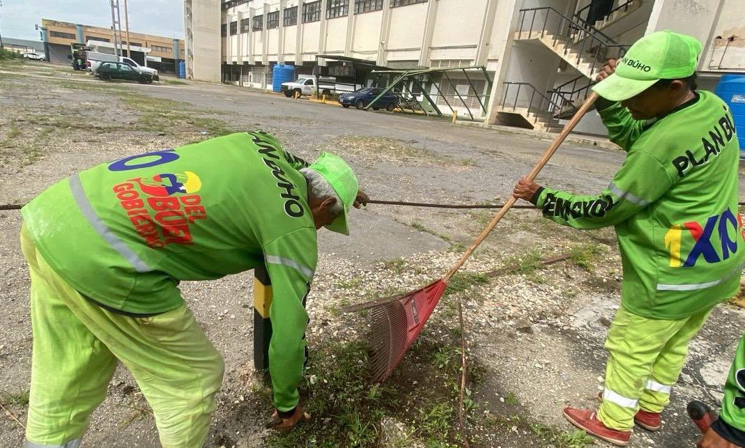 Labores de, desmalezado, barrido profundo, mantenimiento de aceras y brocales, con recolección de desechos vegetales, a lo largo y ancho de la Av. Henry Ford, en la parroquia Rafael Urdaneta.

<a href="/NicolasMaduro/">Nicolás Maduro</a> 
<a href="/delcyrodriguezv/">Delcy Rodríguez</a> 
<a href="/JosueLorcaV/">Josué Lorca Vega</a> 
<a href="/rafaellacava10/">Rafael Lacava</a> 
<a href="/JFuenmayor_PSUV/">Julio Fuenmayor</a>