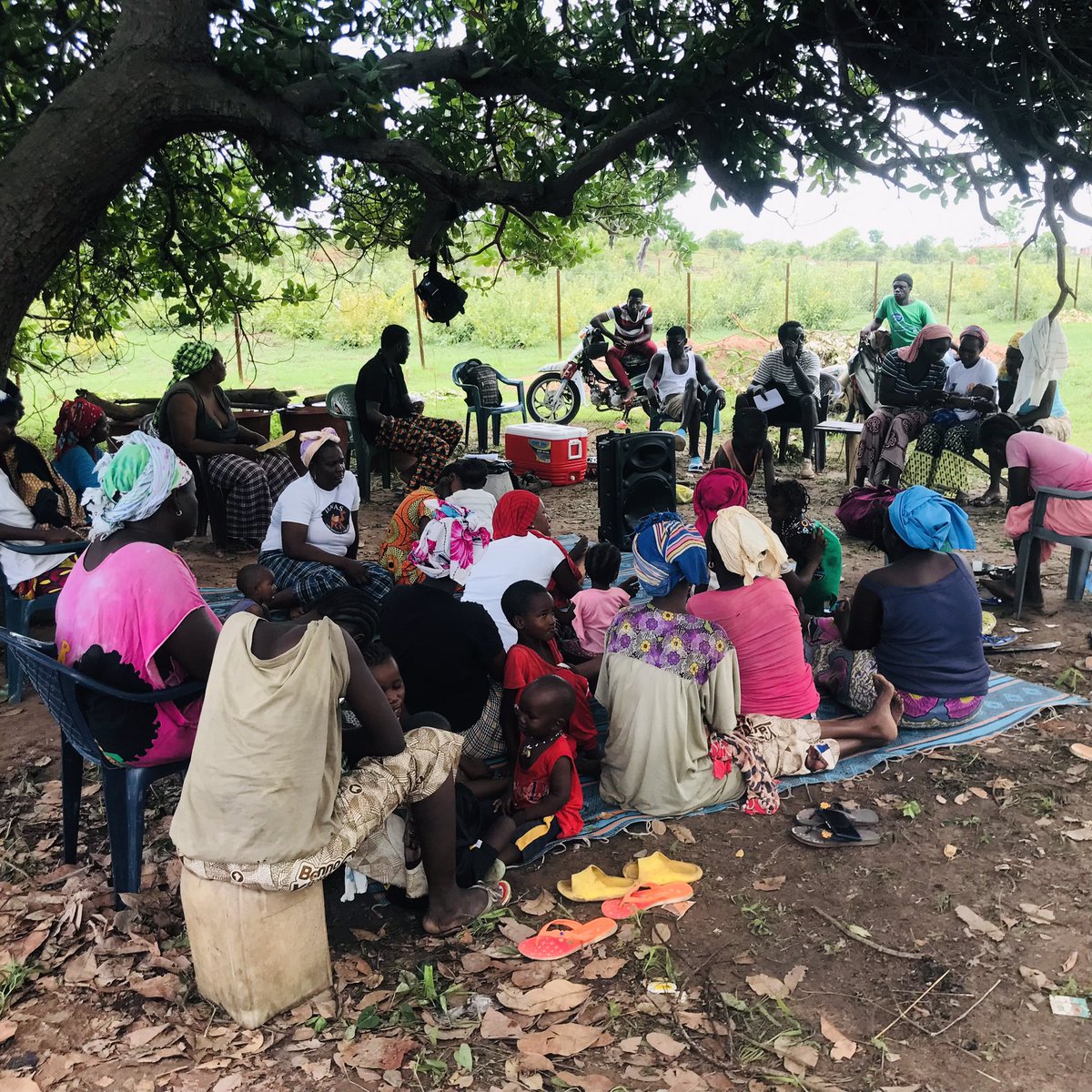 UrgencEco's tweet photo. 72h d’intenses moments agroecologique à #Bignarabe.
Avec l’accompagnement de @Jve_Senegal , @SUCO_org , 50 femmes et jeunes de Tamasanka dans le département de Médina Yero Foula, ont bénéficié de formation en production de #Bokachi et de #Biopesticide.
#Agroecologie
👇🏼 https://t.co/H7HFFnQpUb