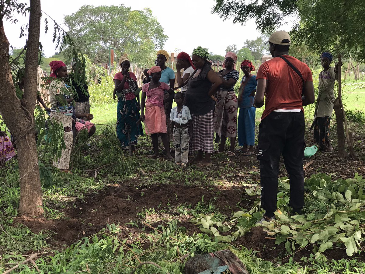 UrgencEco's tweet photo. 72h d’intenses moments agroecologique à #Bignarabe.
Avec l’accompagnement de @Jve_Senegal , @SUCO_org , 50 femmes et jeunes de Tamasanka dans le département de Médina Yero Foula, ont bénéficié de formation en production de #Bokachi et de #Biopesticide.
#Agroecologie
👇🏼 https://t.co/H7HFFnQpUb