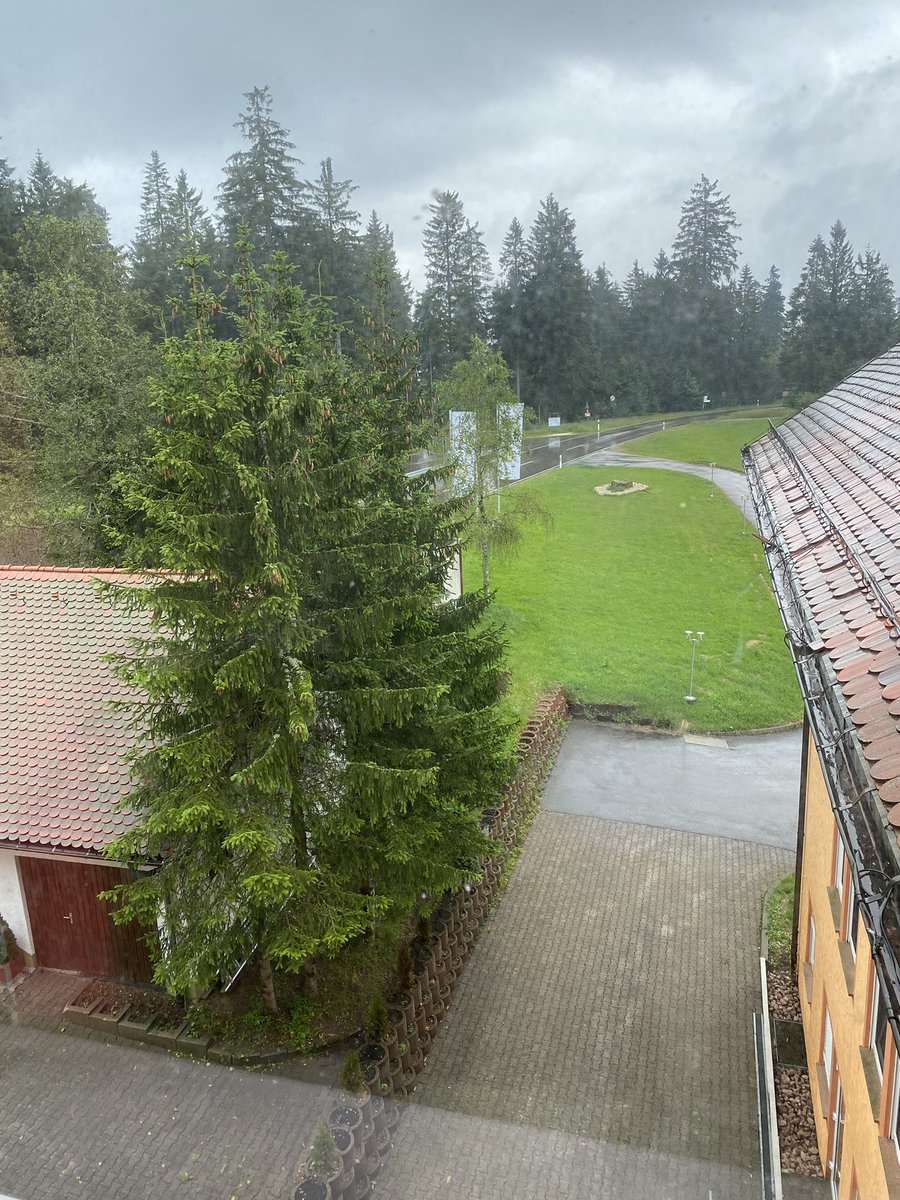 Thomas Kraft tweet media