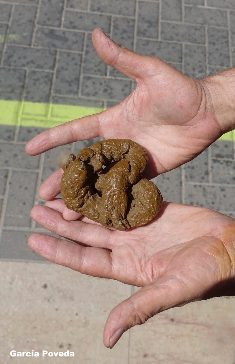 Antonio García tweet media