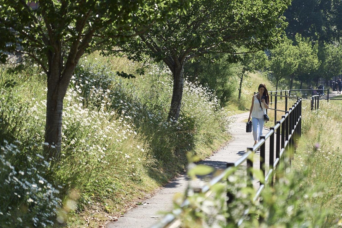 freshwaterflows (@freshwaterflows) on Twitter photo Read about how <a href="/unibirmingham/">Uni of Birmingham</a> is embedding #sustainability & #biodiversity into #research, #education & #partnerships birmingham.ac.uk/news/2024/biod… <a href="/BhamSustain/">UoB Institute for Sustainability & Climate Action</a> <a href="/LES_UniBham/">College of Life and Environmental Sciences</a> <a href="/UNESCOUK/">UNESCO UK</a> <a href="/LauraJaneGraham/">Dr Laura Graham</a> <a href="/JuliaPMyatt/">Prof Julia P Myatt</a> Read about how <a href="/unibirmingham/">Uni of Birmingham</a> is embedding #sustainability & #biodiversity into #research, #education & #partnerships birmingham.ac.uk/news/2024/biod… <a href="/BhamSustain/">UoB Institute for Sustainability & Climate Action</a> <a href="/LES_UniBham/">College of Life and Environmental Sciences</a> <a href="/UNESCOUK/">UNESCO UK</a> <a href="/LauraJaneGraham/">Dr Laura Graham</a> <a href="/JuliaPMyatt/">Prof Julia P Myatt</a>