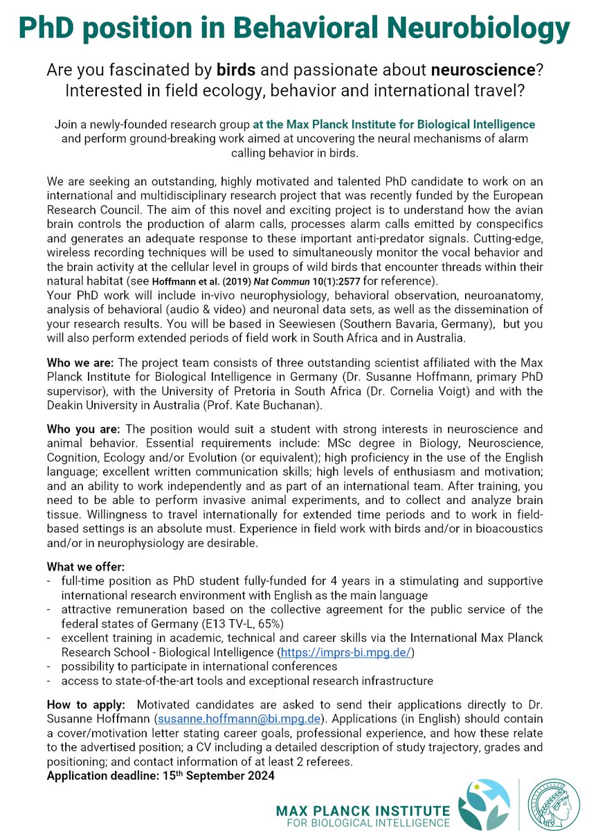 Dr_S_Hoffmann's tweet image. Here is the official advert for the #PhDposition in Behavioral Neurobiology. Apply asap if you are passionate about #birds and #neuroethology. Looking forward to working with you.

jobrxiv.org/job/max-planck…