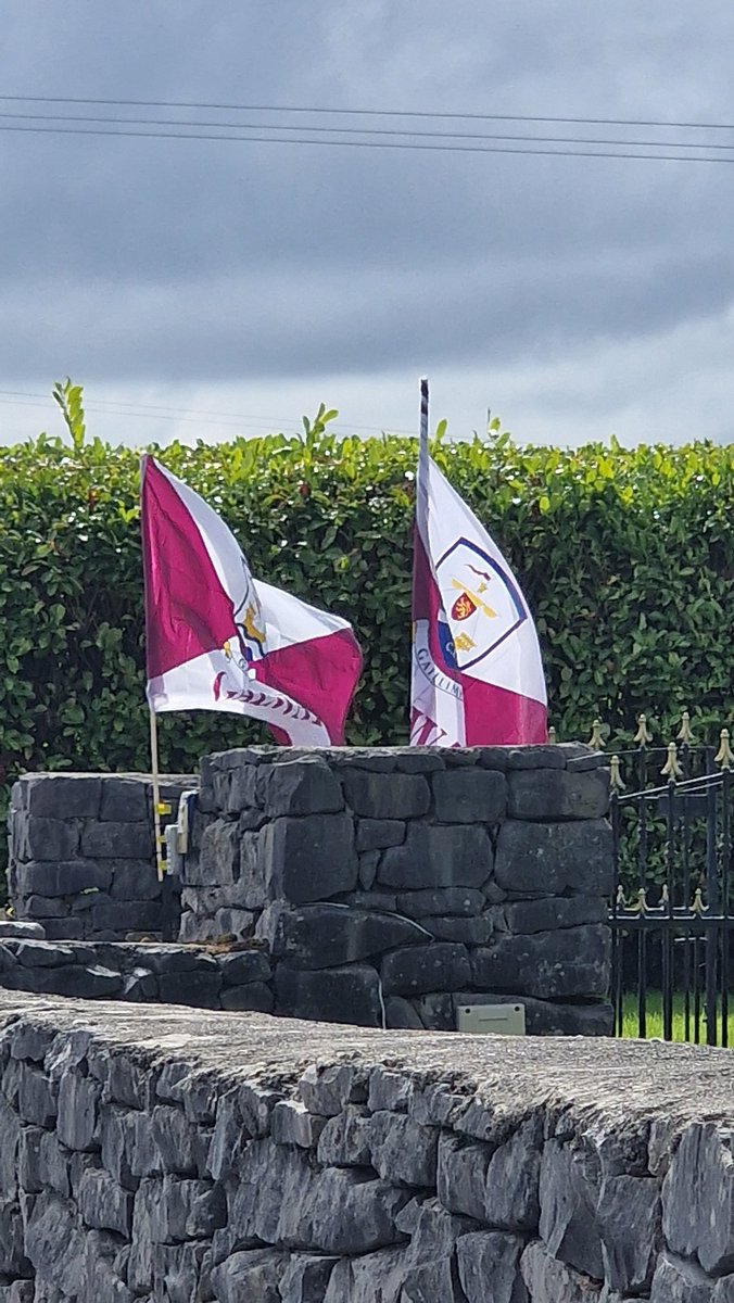 PRO_Galway_Ball's tweet photo. Clearly, I'm biased, but isn't it brilliant to see the Galway flags on the pillars &amp; gates of whatever area you happen to pass through or live in, each has a family that takes great pride in supporting their county.
Long may it continue happening, 
#gaillimhabú #galway4sam2024 https://t.co/qtj6xApzQc