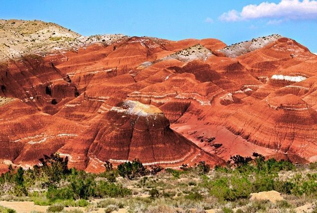 TravelSeeWrite's tweet photo. If you are a nature lover, you'd love to visit the Altyn-Emel National Park - Home to the singing dunes! Hear the natural hum of these sand dunes, explore ancient petroglyphs, and spot rare wildlife like the Przewalski's horse. #AltynEmel #DiscoverKazkhstan #TravelSeewrite 8/n https://t.co/pG8iY8W6lU