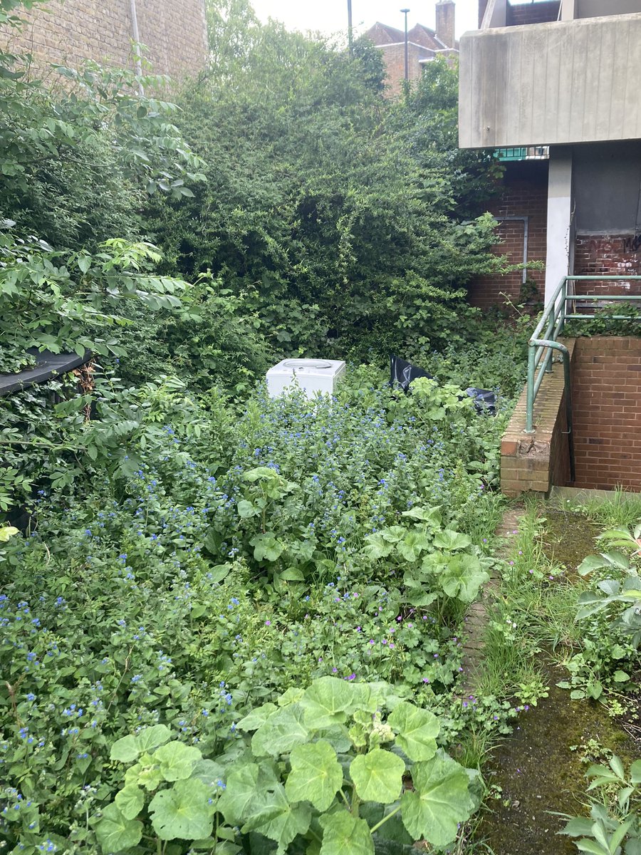 michaelcubey's tweet photo. @CamdenCouncil @1Meric 
I have reported this dumped / fly tipped washing machine on our estate (Charlton Court) 4 times since April but it’s still not been collected 
I’ve contacted Camden Council via email Clean Streets app :  no response.   Impossible to get through on phone… https://t.co/z3YqGeGPId