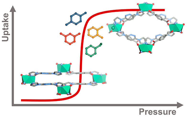 Gate-opening Induced by C8 Aromatics in a Double Diamondoid Coordination Network

<a href="/ZGroupUL/">Mike Zaworotko group</a> et al. <a href="/UL/">University Of Limerick</a> 

Read the paper 👉 go.acs.org/a8x