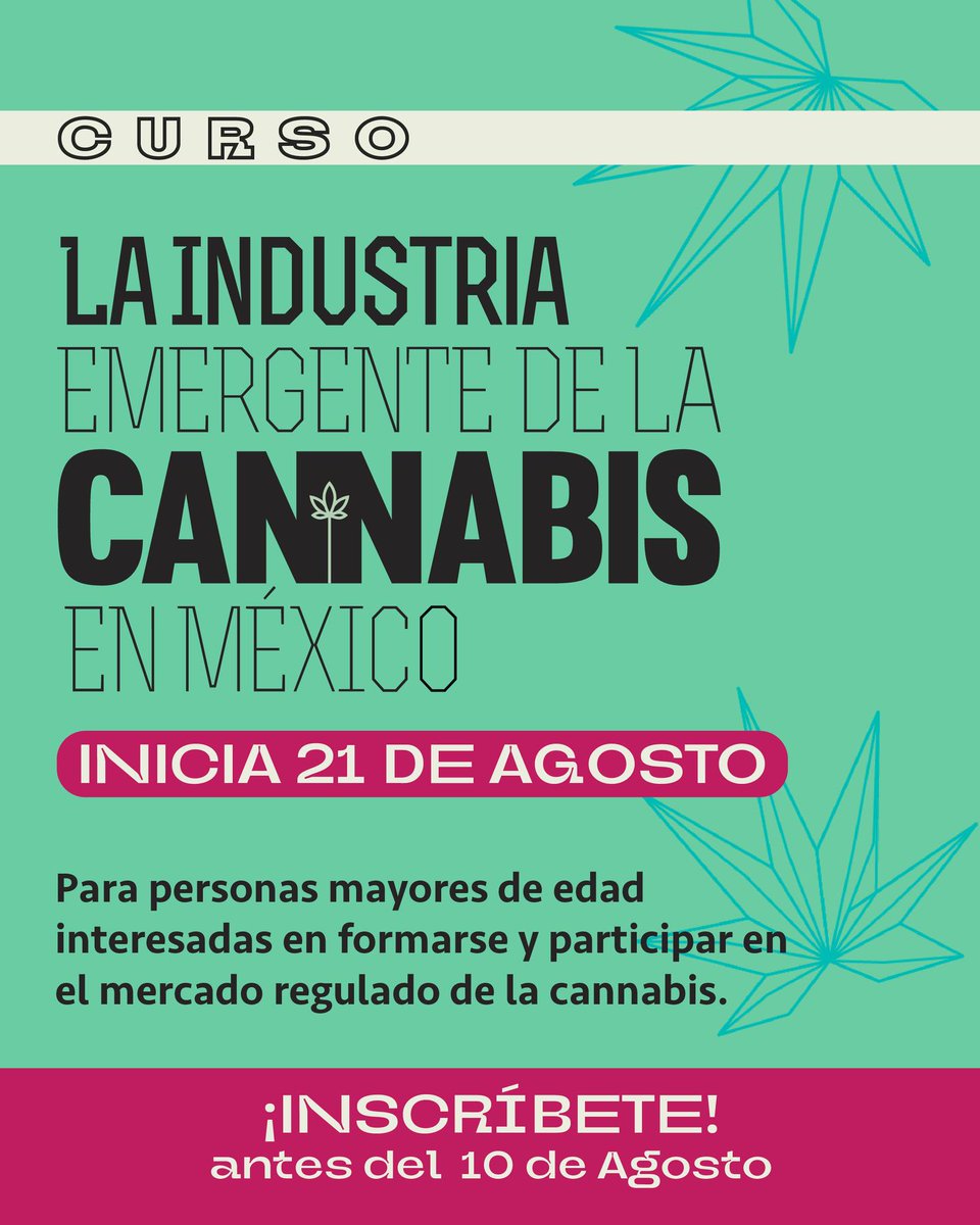 cannatlan's tweet photo. 🎓📅 ¡Nuevo Curso de la Industria de Cannabis en México! Ideal para profesionales, investigadores y emprendedores en @institutoriamx . Regístrate hoy y sé parte del cambio. 🌿💡 #cannabis #marihuana #industriacannabica #cannabislegal

https://t.co/4hAwxsDuBv https://t.co/H0pNVSmIkR