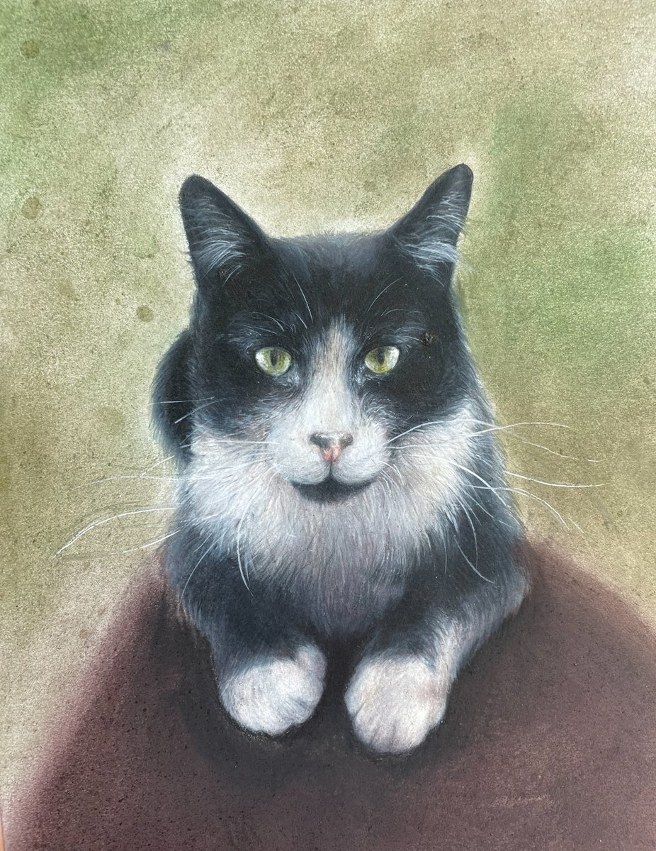 Mark Lewis, MD, FASCO tweet media