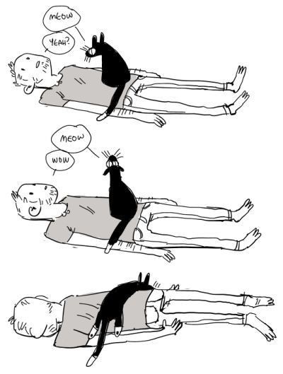 DontShowYourCat's tweet image. 