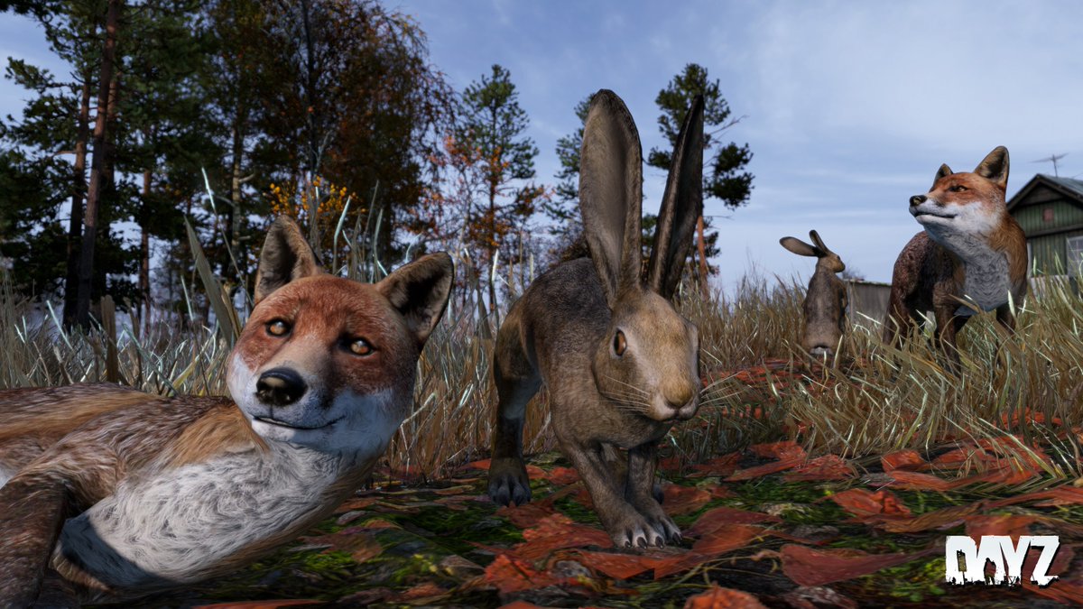 DayZ's tweet image. 📢Hey Survivors,
Dev Blog Week 28 is here!
Main topic is on the new ambient animals of Sakhal.
Have a lovely weekend, all.
#DayZ #DayZFrostline #DevBlog #Steam #PS #Xbox
ow.ly/Sb4U50SAnJB