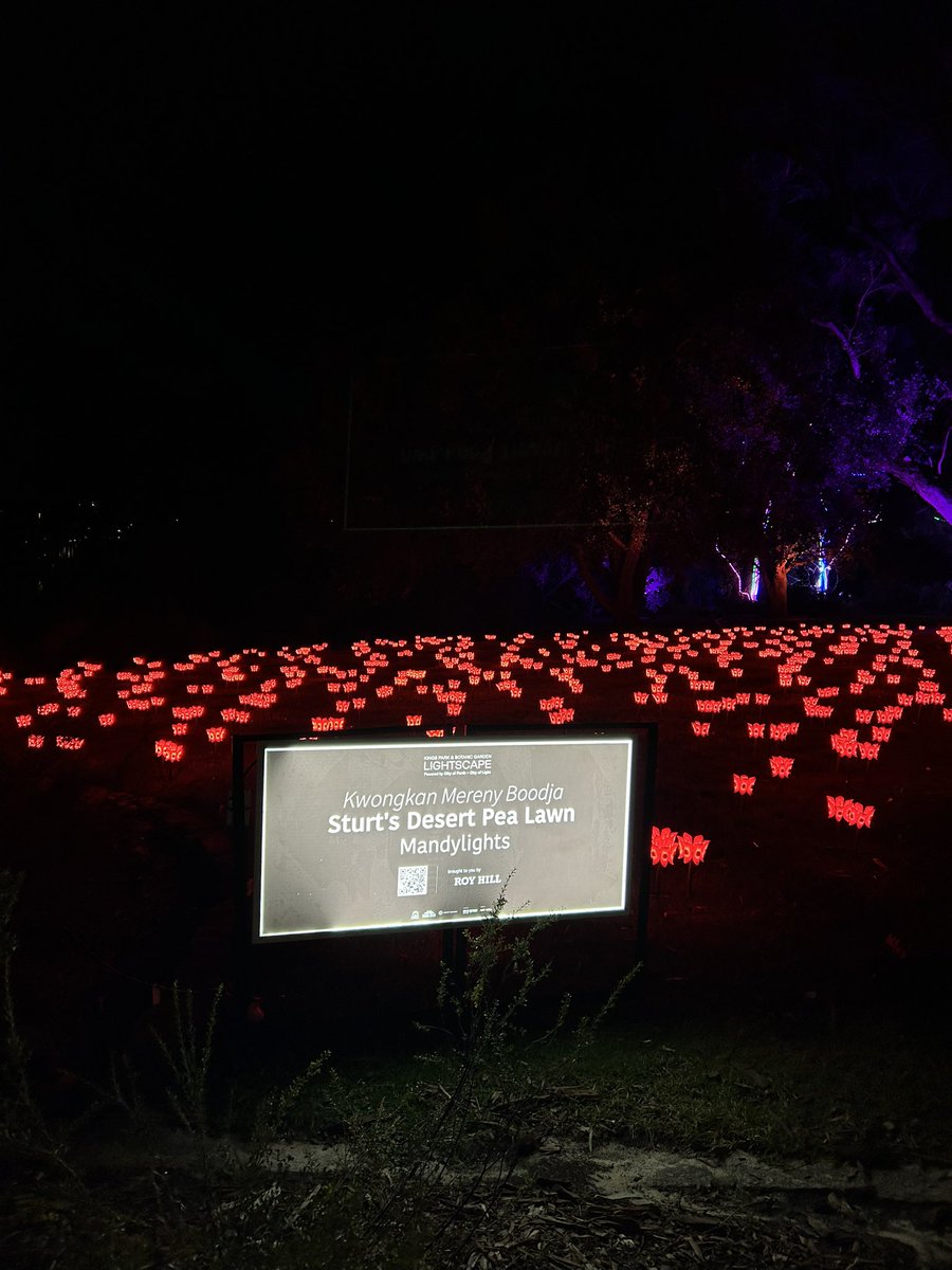 Shaun Jasper tweet media