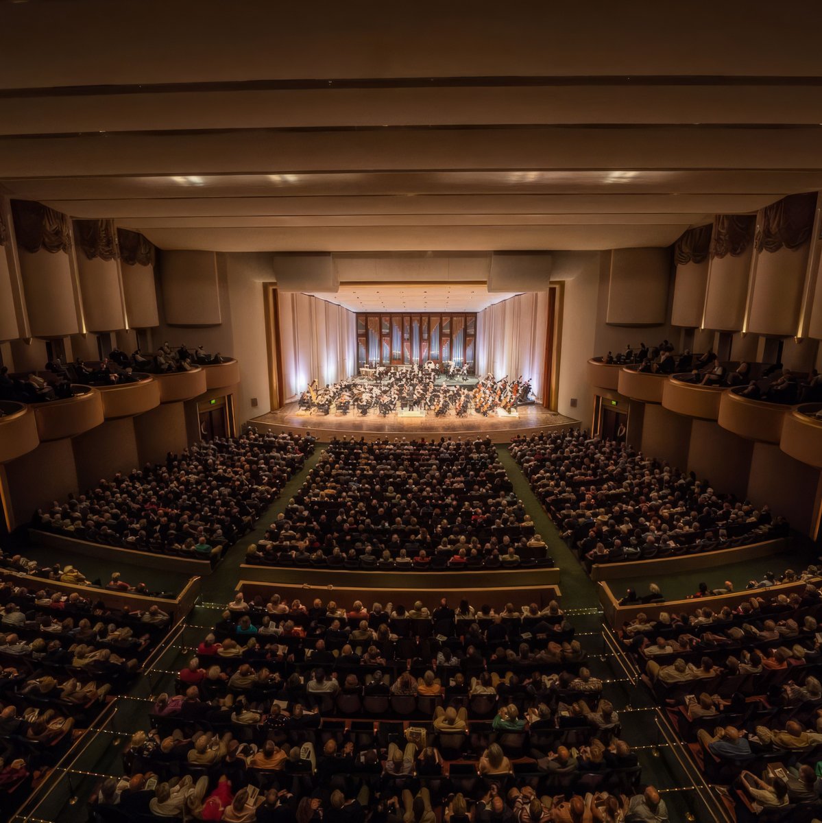 ManueLopezGomez's tweet photo. Thrilled beyond words to announce that I’ve become the new #AssociateConductor of the #NaplesPhilharmonic in #Florida! 🪄🎵🌴
•
It’s an incredible honor to collaborate with this world-class orchestra, alongside Maestro @ShelleyConduct , and to join the @artisnaples family. 🙏🏻 https://t.co/nXIFWpg1Fy
