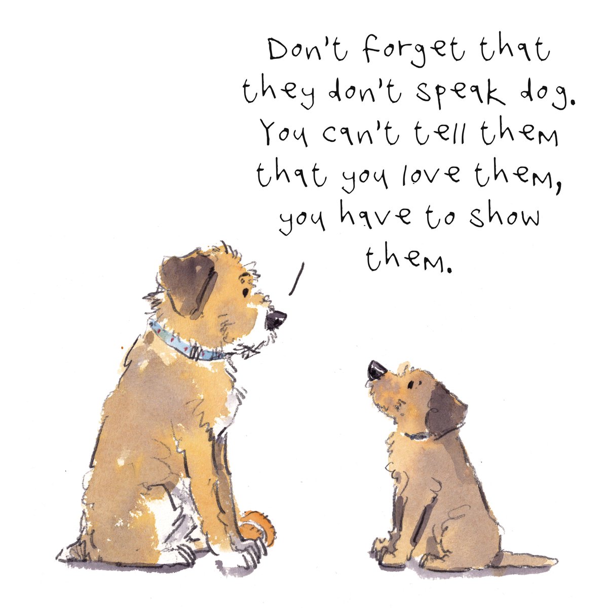 All the Reasons Dogs Are Better Than Cats, image size:1200x1200