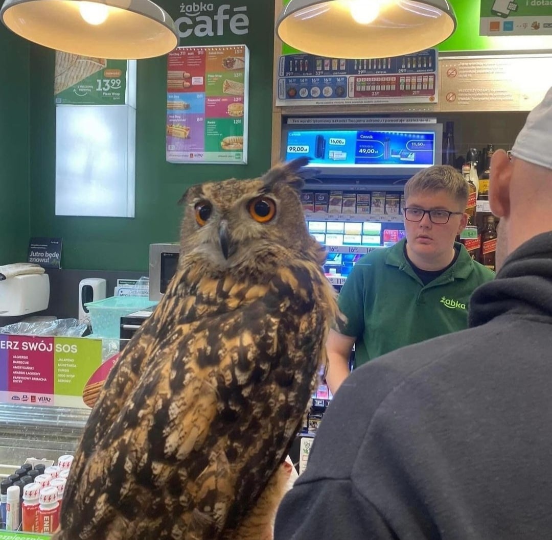 polishcore (@p0lishc0re) on Twitter photo 