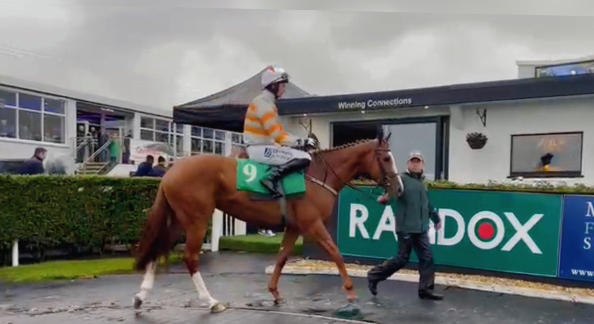 ClosuttonRacing's tweet photo. We’re looking forward to seeing ‘Get In Line’ getting back to the track after her break tomorrow evening @WexfordRacecour in the mares bumper.  @JodyT97 is in the saddle for @WillieMullinsNH. 

Let’s hope she gets Over The Line in front. 😉
⚪️🟠 https://t.co/whbSEq28k6