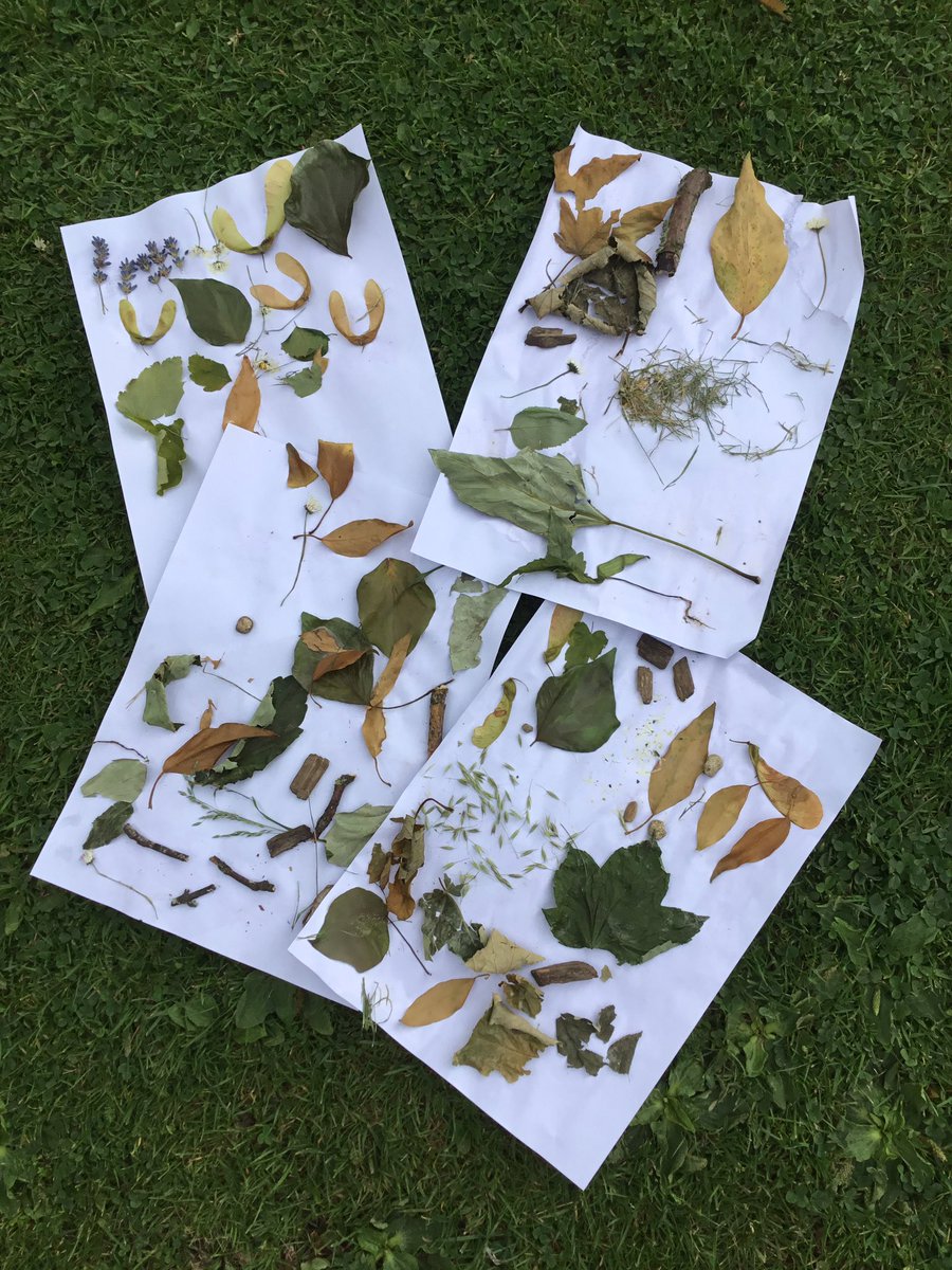 Bugbrooke_YR tweet media