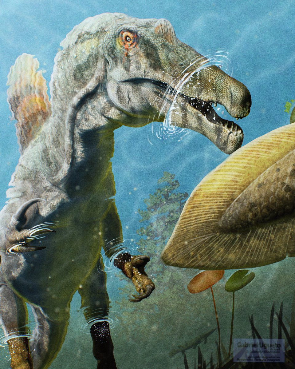 SerpenIllus's tweet photo. Come here little fish, said Spinosaurus https://t.co/pawD2AguX6